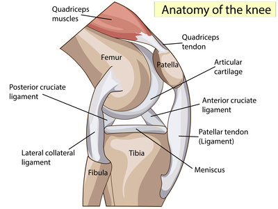 What you need to know about your ACL injury, the operation, complications, and your surgery recovery